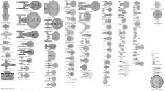 Federation Ship Chart.jpg