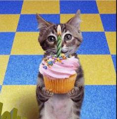 cat_cupcake.gif